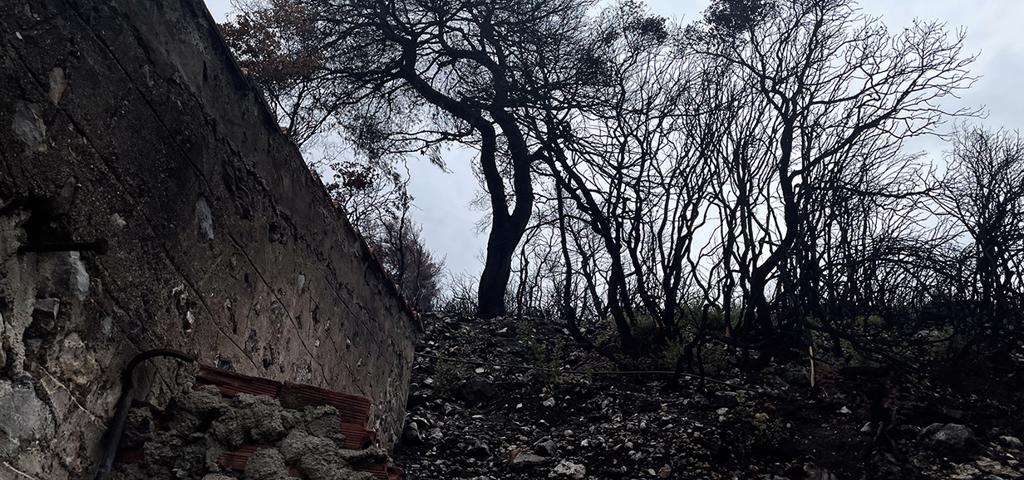 Τριπλάσιο το κόστος της κλιματικής αλλαγής για τους Έλληνες